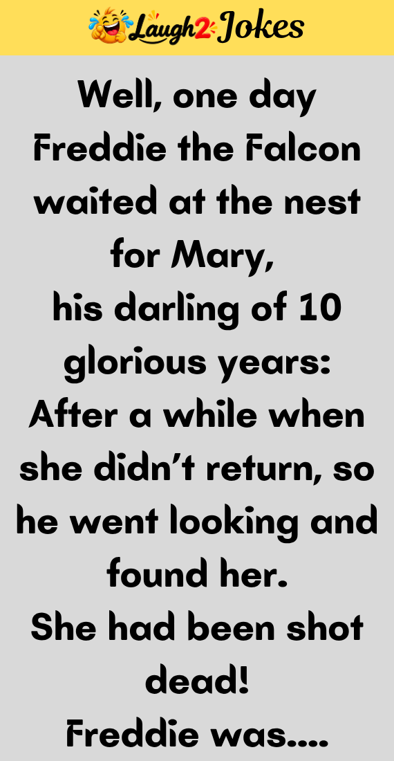Freddie The Falcon Waited At The Nest For Mary