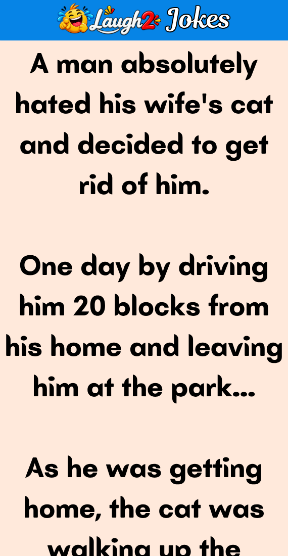 A man absolutely hated his wife’s cat