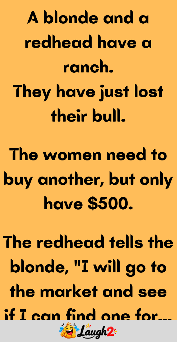 A blonde and a redhead have a ranch